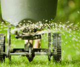 Combining Lawn Fertilization and Broadleaf Weed Control