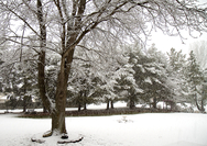 Protect Your Lawn with Year-Round Lawn Care