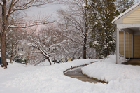 Last Minute Tips for Turf Winterization