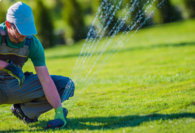 Do You Need Professional Help for Lawn Grubs?