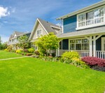 Enhancing Curb Appeal: How Professional Lawn Fertilization and Grub Control can Transform Your Home's Exterior