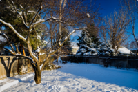 Three Simple Steps for Winter Lawn Care