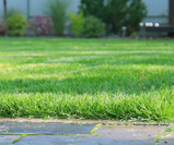 Prepare for Spring Lawn Care