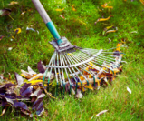 The Importance of Turf Winterization Before Winter