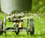 Why Summer Fertilization Matters