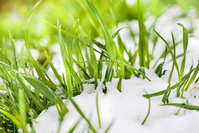 Winter Lawn Care Tips