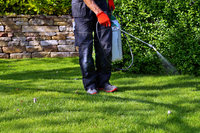 Picking the Perfect Lawn Fertilization Program for You