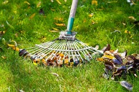 Protect Your Lawn with Year-Round Lawn Care