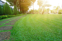 Easy Fixes for Common Lawn Problems