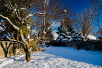 Caring for Your Lawn in the Winter