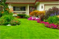 How to Implement the Perfect Fertilization Program