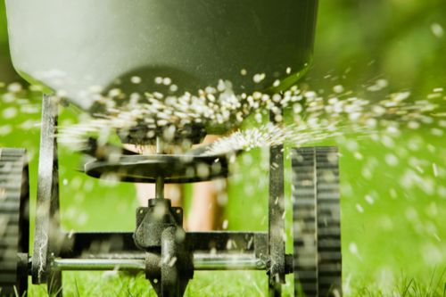 Photo of a spreader applying fertilizer on a lawn.