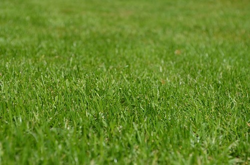 lawn care companies howell, lawn care company howell, lawn fertilization companies howell, lawn fertilization company howell, grub control howell, weed treatment howell