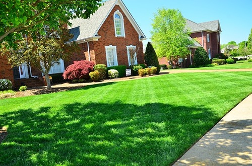 lawn care companies, lawn care companies howell, lawn care companies livingston county, lawn care company, lawn care company howell, lawn care company livingston county, fertilizer company howell, fertilizer company livingston county