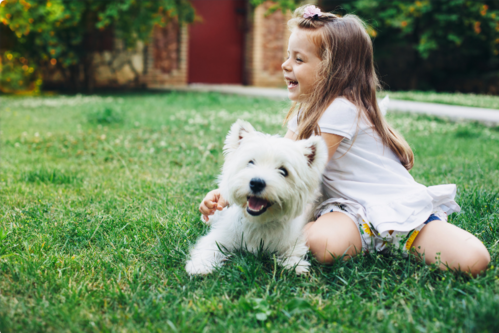 lawn care companies livingston county, lawn care company livingston county,
